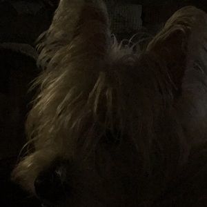 Meet your Posher, Kelley